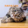 Profilbild von なないろ🐈