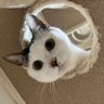 ããš profil fotoÄrafı