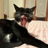 Milly's profile picture