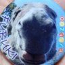 キョンキョン's profile picture
