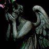 Don'tblink!'s profile picture