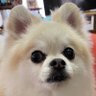 みさえ62 ✡'s profile picture