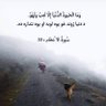 Profilbild von زنداني افغان