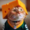 adam🧀's profile picture