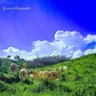 فراوله profil fotoğrafı