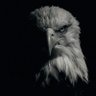 Ali's profile picture