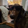 Profilbild von theamazingmonty