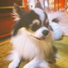 น่าเบื่อจริง !'s profile picture
