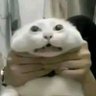 ズビズバ 的头像