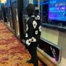 Lil Marc's profile picture
