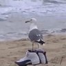 Фото профиля H. J.