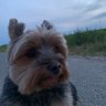 Profilbild von lethimcook
