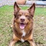 webbzy's profile picture