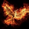 Profilbild von The Hunger Games