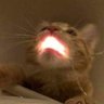 Vortyox's profile picture