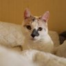 Фото профиля Tae