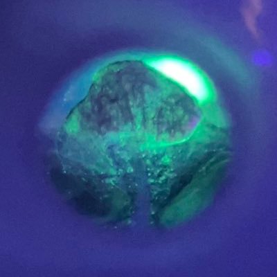 PnPLynxz's profile picture