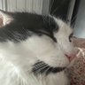 Mia's profile picture