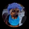 Boumbo's profile picture