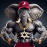 Happy Bammer 的头像