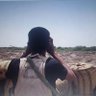 Ahmed Ghailan's profile picture