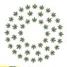 浅葱's profile picture