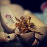 ♕ الڕاقــــــي ♕🇴🇲's profile picture