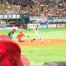 鷹ぴよ profil fotoğrafı