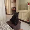 Elisabetta profil fotoğrafı