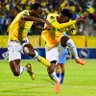 Profilbild von Sandawana๐๐๐๐งก