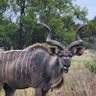 Waldo JvRensburg profil fotoğrafı