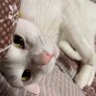 アッキー✨ profil fotoğrafı
