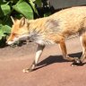 たけじ 的头像