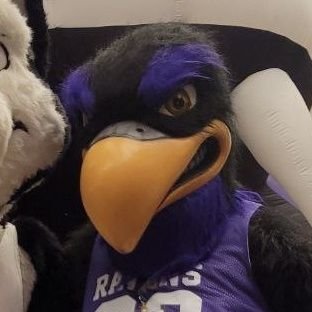 Midnight the Raven's profile picture