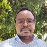 Mwalim Irandu 的头像
