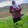 Asya Akın profil fotoğrafı