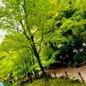 Фото профиля うす