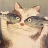 黑猫不是黑马's profile picture