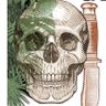Фото профиля jairon@