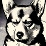 Profilbild von かしわもち