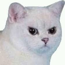 Heleno Jado's profile picture