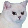 Heleno Jado's profile picture