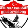 Profilbild von Şebinkarahisar Belediye Spor