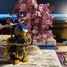 mindmirage 的头像