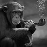 Big Chimpin''s profile picture