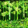 Фото профиля 風里