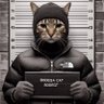 Фото профиля Its A Cat In A Bodega (🥪,🐱)