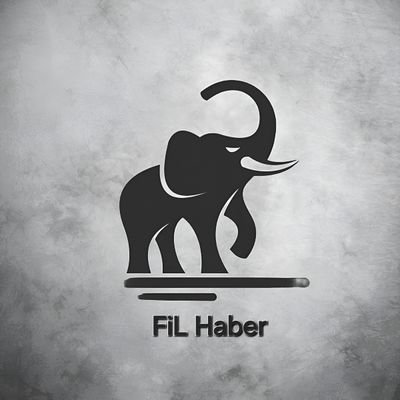 FiL Haber's profile picture