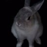Profilbild von 伶