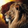 Justin Webb's profile picture